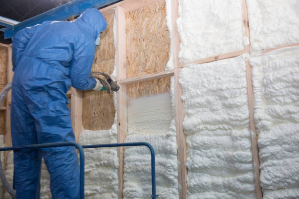 Best Wall Insulation Installation  in Oak Grove, MO